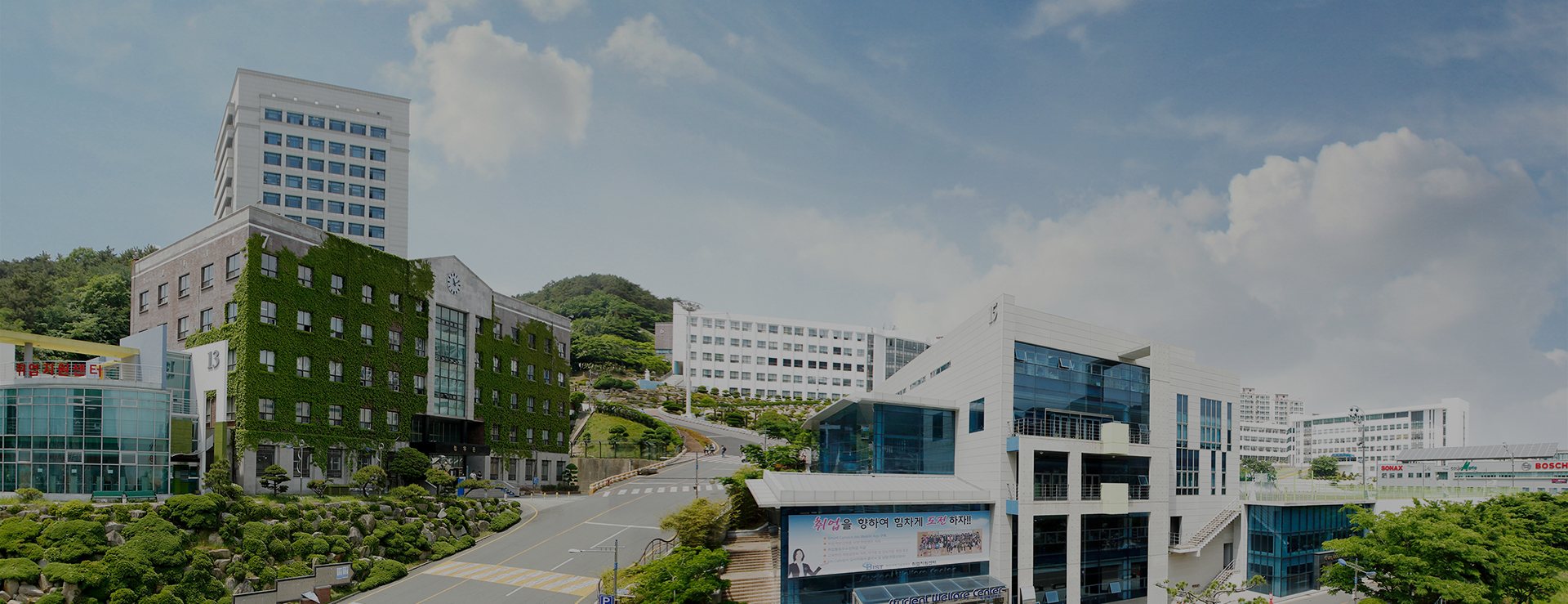 대학 캠퍼스